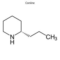 Skeletal formula of chemical molecule. vector