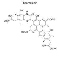 Skeletal formula of Chemical element vector