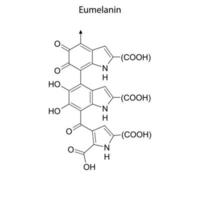 fórmula esquelética del elemento químico vector