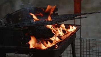 barbecue hout en kolenvuur als de hel video