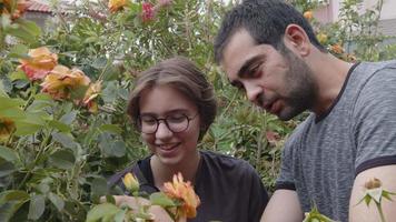 la ragazza e l'uomo esaminano i fiori con una lente d'ingrandimento video