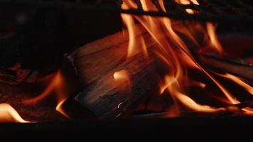 Barbecue Wood and Coal Fire like Hell video