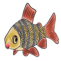 Golden fish vector White background