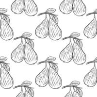 Vintage seamless pattern pear on branch. Black line sketch fruits on white background. Print for packaging and design vector illustration