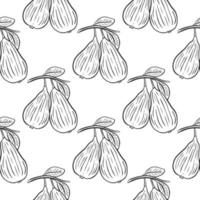 Vintage seamless pattern pear on branch. Black line sketch fruits on white background. Print for packaging and design vector illustration