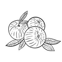 Peach graphic black and white vector