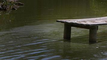 bacino di legno nell'acqua del lago video