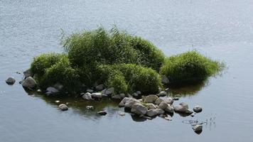 het meerwater in de natuur video