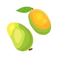 Cartoon ripe whole mango with shadows and half. Sweet exotic food in a cut for healthy food on isolated background. vector