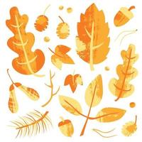 Set of colorful autumn leaves and forest elements. Textured  hand drawn vector illustration isolated on white background. Craft stamp style