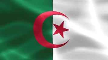 bandiera dell'Algeria - bandiera in tessuto sventolante realistica video