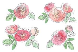 watercolor loose line art rose flower bouquet collection vector