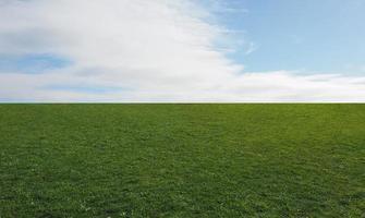 paisaje con pradera y cielo foto