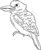cartoon kookaburra bird animal character coloring page vector
