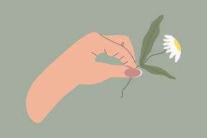 A hand holding a daisy. Illustration of a daisy. A fashionable cartoon hand holding a daisy on a green background. Modern illustration for web and print design. vector