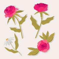 un conjunto de colores vectoriales. elegantes peonías femeninas y manzanilla. una variedad de botánica de jardín para diseño web, aplicaciones, patrones y logotipos. ilustración moderna. vector