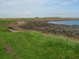 Garden and coastline near newcastle in england photo