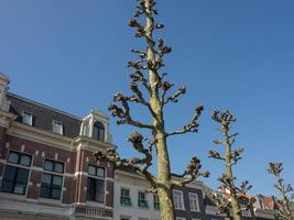 la ciudad holandesa de haarlem foto