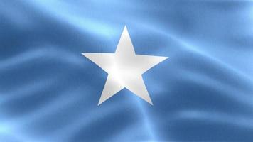 ilustração 3D de uma bandeira da Somália - bandeira de tecido acenando realista. video