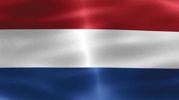 bandeira da holanda - bandeira de tecido acenando realista video