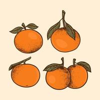 diseño de logotipo áspero de textura de fruta naranja dibujada a mano vector