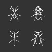 conjunto de iconos de tiza de insectos. hormiga, escarabajo ciervo, chinche de tierra, fásmido. Ilustraciones de vector pizarra