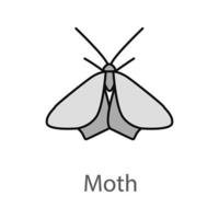 Moth color icon. Butterfly. Insect. Isolated vector illustration