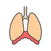 Thoracic cavity color icon. Diaphragm. Human lungs. Isolated vector illustration