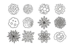 Tree Plan Outline Top View vector