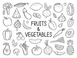 Hand drawn set of fruits and vegetables doodle. Vegetarian food in sketch style. Vector illustration isolated on white background.