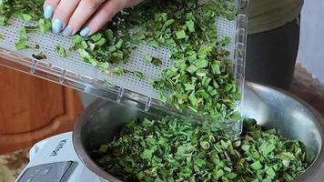 A woman puts dried green onions in a bowl video