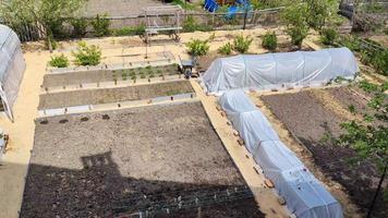 morgon på dacha. grönsaksbäddar och växthus tagna uppifrån. video