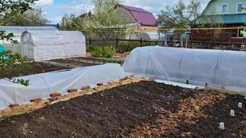 Preparing the soil on the beds for planting vegetables video