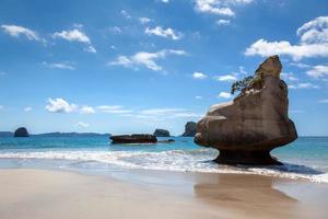 Cathedral Cove Coromandel Peninsula photo