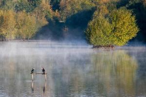 Early Morning at Weir Wood Reservoir photo