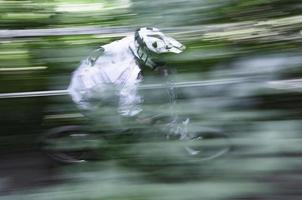 Blurred effect of a downhill mountain bikers on a trail photo