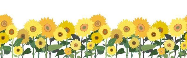 Spring or summer seamless horizontal border with sunflowers. Isolated on white background. Banner with floral pattern. vector