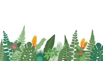 Horizontal floral border frame with green tropical leaves and flowers of tropical plants on wtite background. Tropical foliage borders. Vector flat illustration.