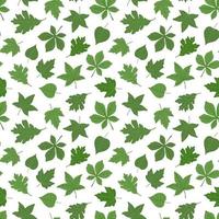 Seamless pattern with forest leaves. Isolated on a white background. Fashion botanical foliage fabric design. vector