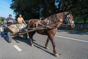 Two men with a horse and cart in Sucevita in Moldovia Romania on September 18, 2018. Two unidentified people photo