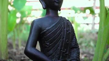 A shot of a buddha statue sitting in a lotus pose surrounded with green plants and trees. video