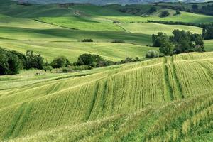 Farmland in Val d'Orcia Tuscany photo
