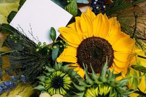 Fresh cut sunflowers in bouquet and card with envelope with copy space. photo