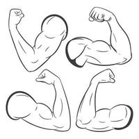 Ilustración de vector de músculo