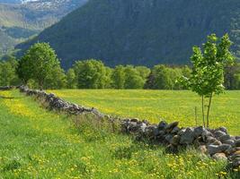 The small village Eidfjord in the norwegian Hardangerfjord photo