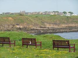 the coast near newcatle in england photo