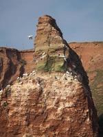 the island of Helgoland photo