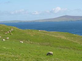 The shetland islands with the city of Lerwick in Scotland photo