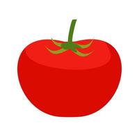 icono de línea de tomate vector