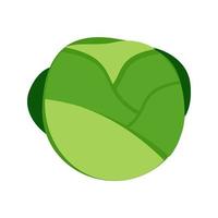 Lettuce Line Icon vector